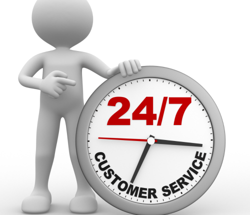User-Friendly Portal with 247 Customer Support